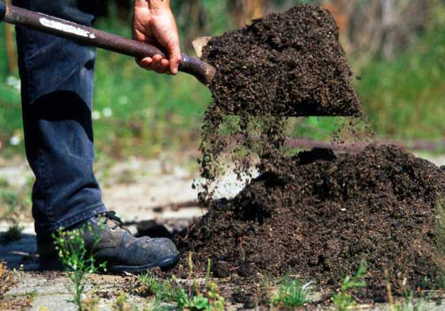 Como mejorar el suelo del jardin