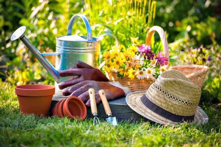 nuevas tendencias de jardineria