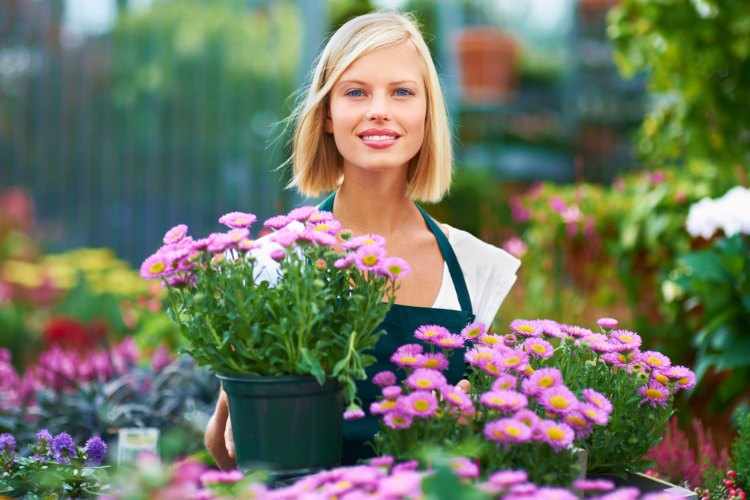 Consejos para el cuidado de las plantas